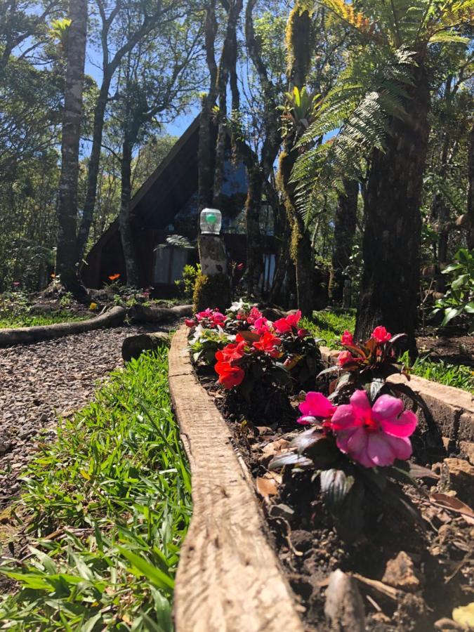 A Cabana Sao Chico São Francisco de Paula エクステリア 写真