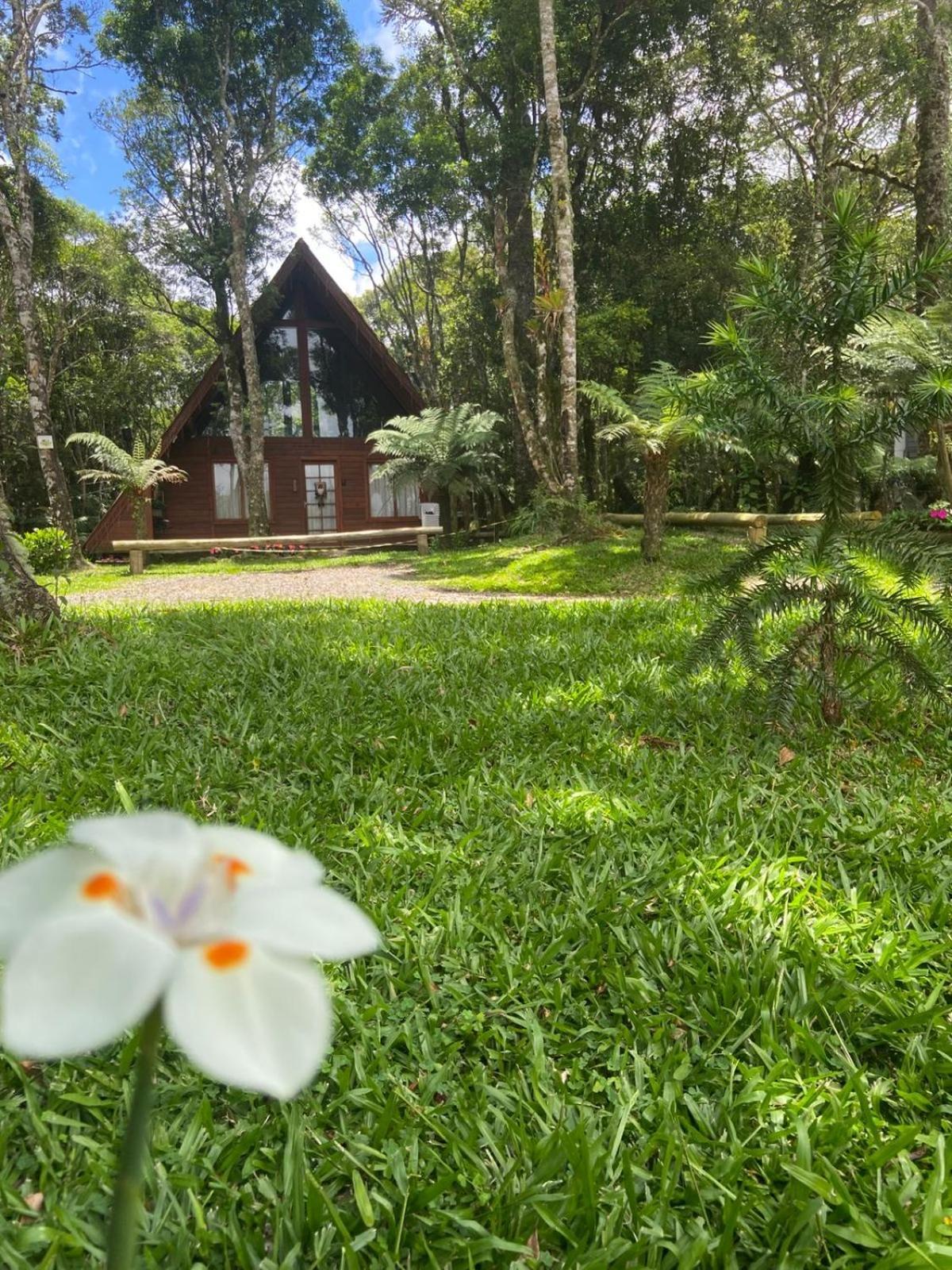 A Cabana Sao Chico São Francisco de Paula エクステリア 写真